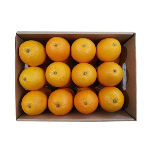 冰糖橙礼盒 商品图0