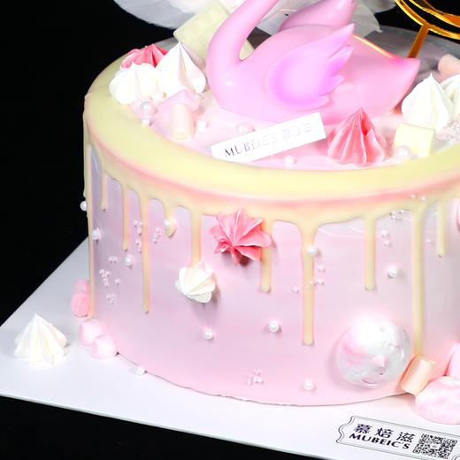 火烈鸟F23（停用） 商品图1