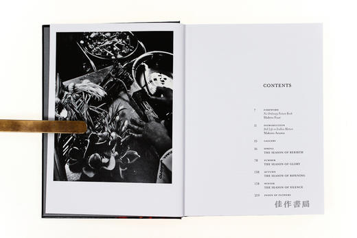 Flora Magnifica: The Art of Flowers in Four Seasons / 华丽的植物：四季花卉艺术/英文原版 商品图3