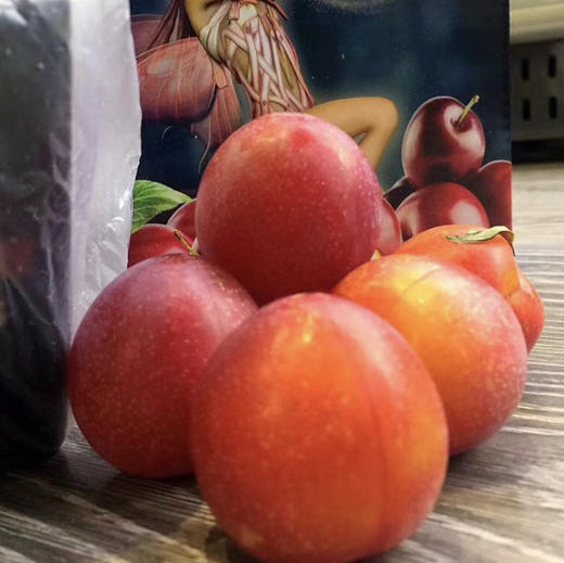 💥💥💥澳洲樱桃李，外观优雅讨喜💞世界极为珍贵和罕见并濒危灭绝的原始野生林果，资源极为珍贵。[勾引]风味独特、入口清爽润滑，果肉柔嫩多汁，其营养价值高出各类常见水果，是极为少见的高品质野生浆果 商品图2