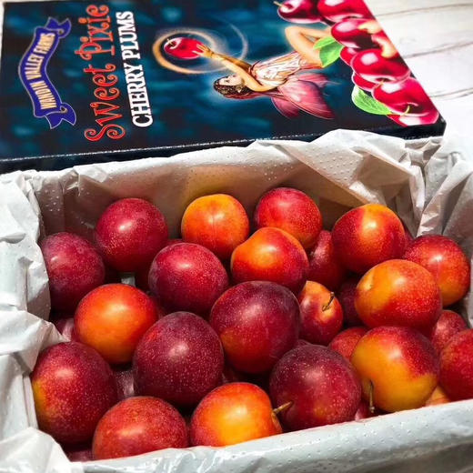 💥💥💥澳洲樱桃李，外观优雅讨喜💞世界极为珍贵和罕见并濒危灭绝的原始野生林果，资源极为珍贵。[勾引]风味独特、入口清爽润滑，果肉柔嫩多汁，其营养价值高出各类常见水果，是极为少见的高品质野生浆果 商品图6