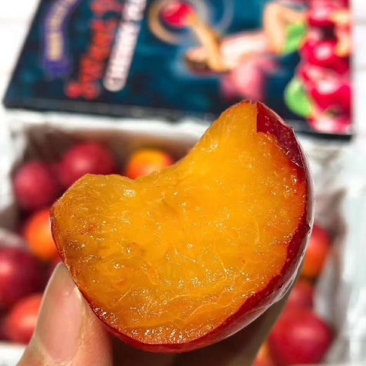 💥💥💥澳洲樱桃李，外观优雅讨喜💞世界极为珍贵和罕见并濒危灭绝的原始野生林果，资源极为珍贵。[勾引]风味独特、入口清爽润滑，果肉柔嫩多汁，其营养价值高出各类常见水果，是极为少见的高品质野生浆果 商品图7