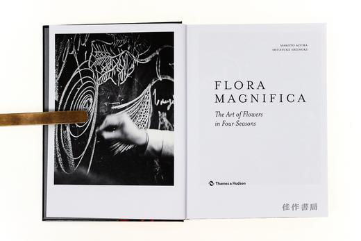 Flora Magnifica: The Art of Flowers in Four Seasons / 华丽的植物：四季花卉艺术/英文原版 商品图2