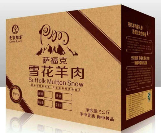 “鲜”托克逊黑头羊  5斤装 商品图5