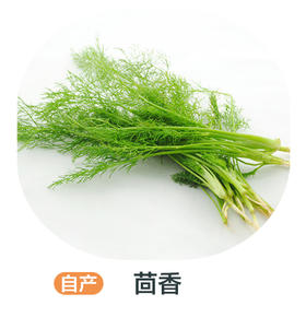 赞字村茴香（±50g/份）