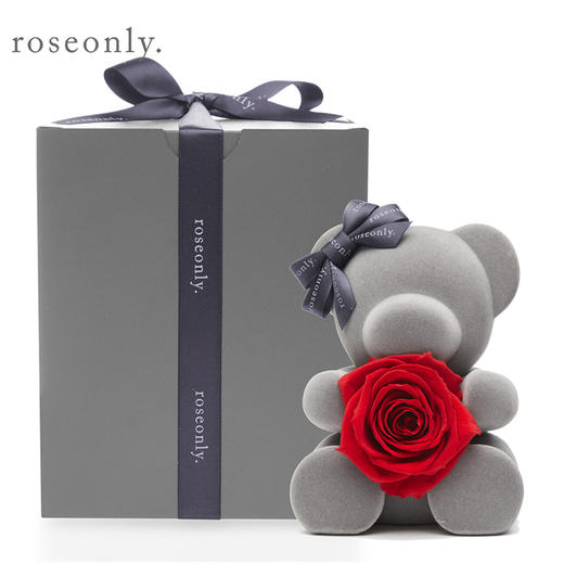 肖战力荐双11甜心熊公仔套装