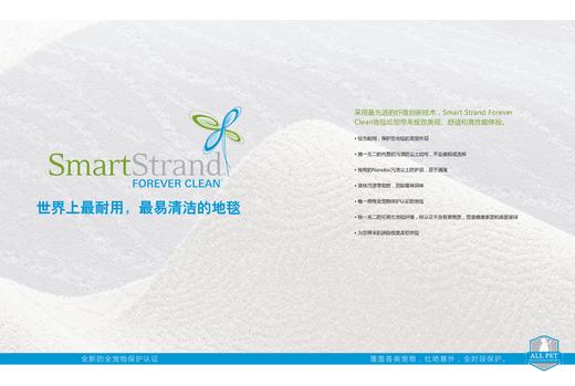 NS家居 nsfurniture 美国进口防尘纤维地毯NSCP-KC010-243/NSCP-KC010-160 商品图1