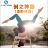 JJYOGA    倒立器瑜伽辅具 商品缩略图1