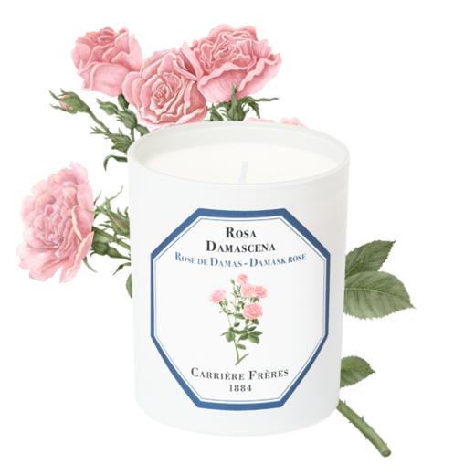 Carrière Frères Rose Damascena － Damask Rose 大马士革玫瑰味 蜡烛香薰 商品图0