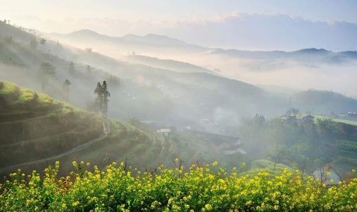 3.5【梅州】坪山梯田油菜花海，名楼古韵3天摄影 商品图0