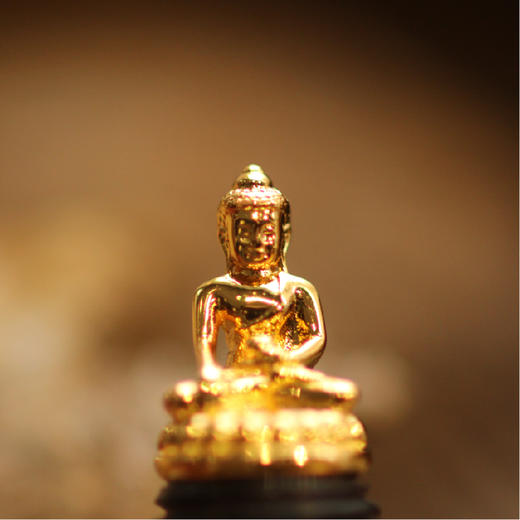 药师佛黑玛瑙手串 健康平安长寿 紫光檀镶嵌种子字  925银配件 西藏祝福礼物 商品图4