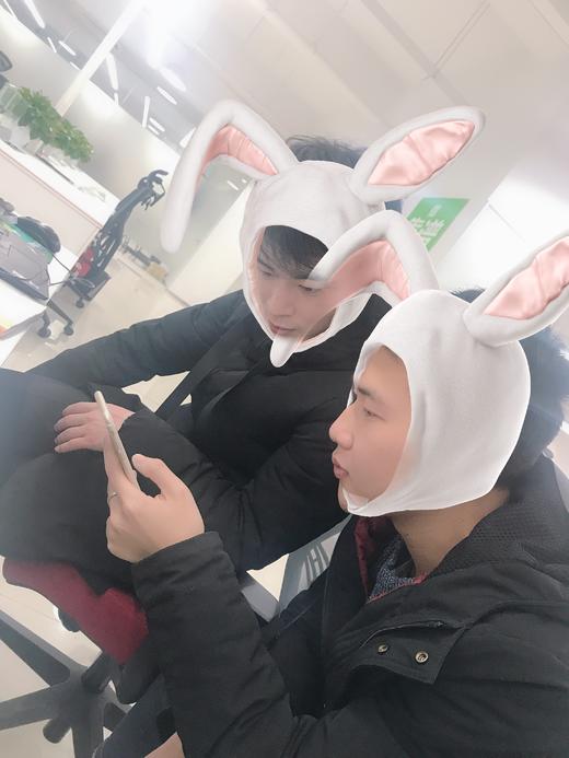 两只小兔纸 商品图0