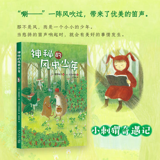 小刺猬奇遇记：神秘的风中少年 商品图2