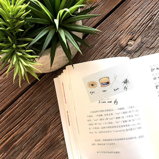 我们的汉字——任溶溶写给孩子的汉字书 商品图1