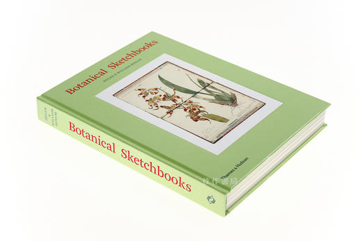 botanicalsketchbooks植物手绘速写英文原版画册