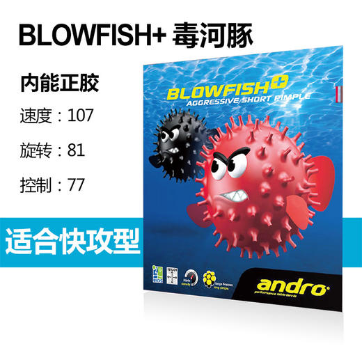 ANDRO岸度  气泡鱼BLOWFISH / 毒河豚BLOWFISH+  乒乓球正胶套胶 国球汇 商品图2