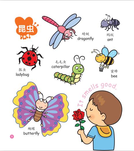 我的第一本认知百科——动植物 商品图2