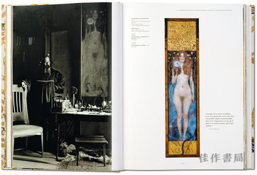 【全新现货】 Gustav Klimt.The Complete Paintings/古斯塔夫·克利姆特绘画全集/原版绘画/TaschenXL系列 大16开 商品图3