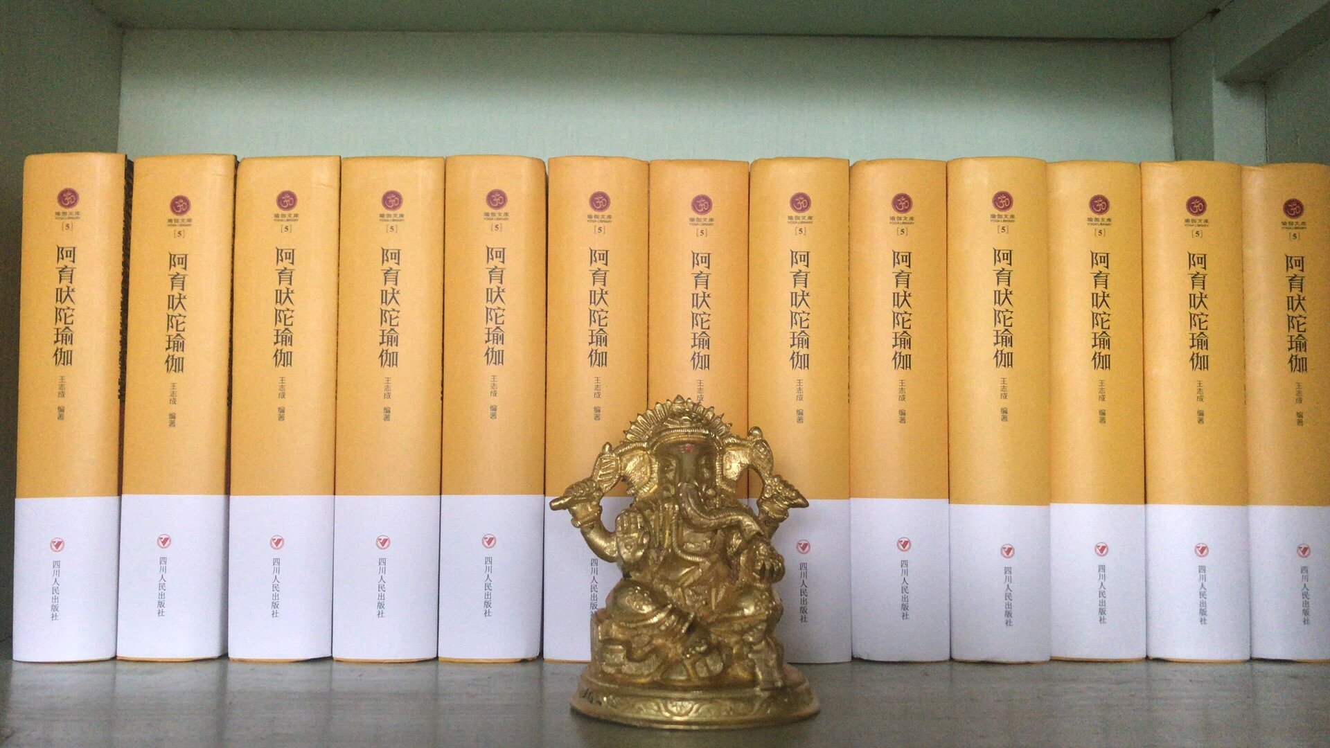 【促销】《阿育吠陀瑜伽》(瑜伽文库作品)