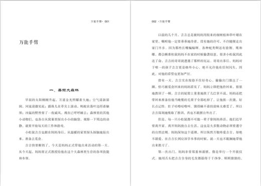 万能手臂 商品图2