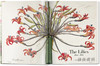 【全新现货】 Redoute.The Book of Flowers/花之书:开花植物花卉插图插画水彩画/英文原版艺术画册 商品缩略图2