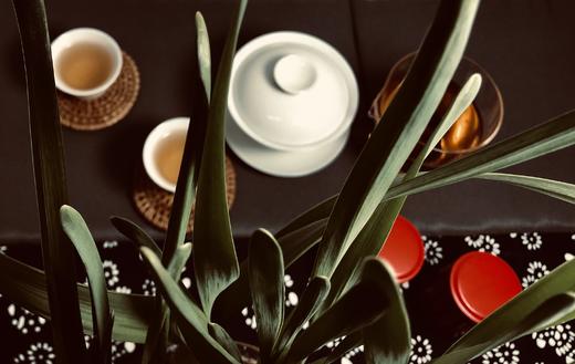 “时光模样”七件套茶器礼盒 商品图3