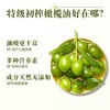 安利皇后特级初榨橄榄油/凉拌煎炒炸煲汤皆宜酸度≦0.5% 商品缩略图8