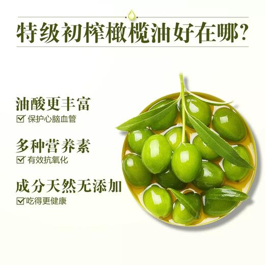 安利皇后特级初榨橄榄油/凉拌煎炒炸煲汤皆宜酸度≦0.5% 商品图8