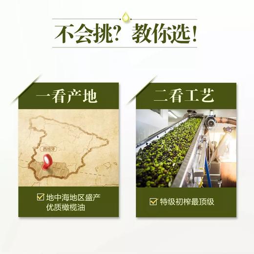 安利皇后特级初榨橄榄油/凉拌煎炒炸煲汤皆宜酸度≦0.5% 商品图6