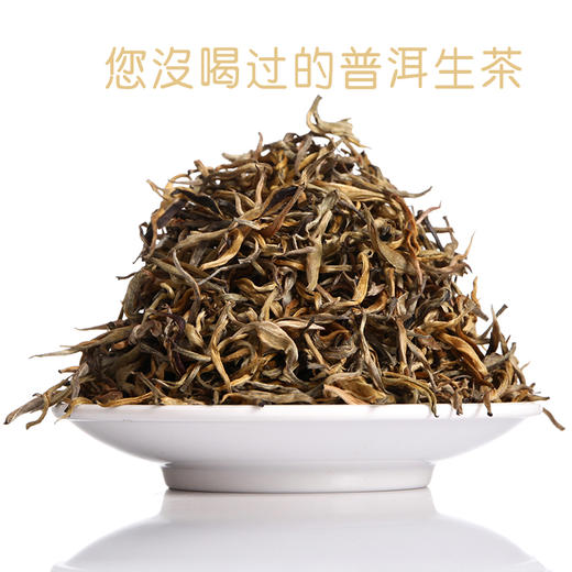 天地间金芽生普云南普洱茶生茶散茶250克罐装茶叶古树普洱茶生茶 商品图1