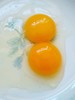 【无抗沙棘鸡蛋恢复发货】无抗生素健康鸡蛋 商品缩略图1
