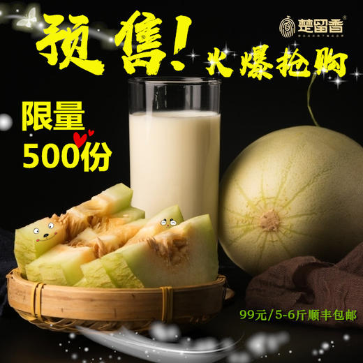 楚留香酸奶瓜5-6斤 全新口味 酸甜多汁 酸奶味蜜瓜 商品图0