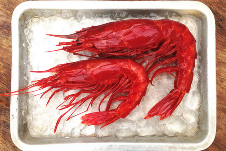 莫桑比克红魔虾