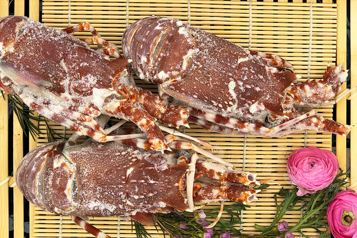 莫桑比克龙虾1500g