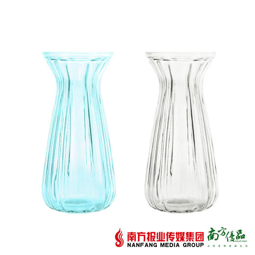 【次日提货】玻璃花瓶  1个 商品图1