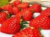 草莓 商品缩略图0