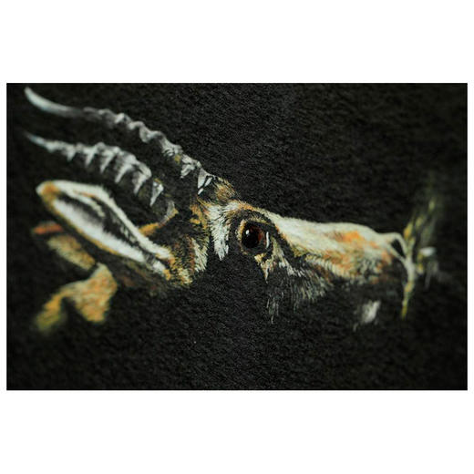 初瞳  我和我的野生动物朋友 初雯雯 王昱珩 中信出版社图书 正版书籍 商品图6