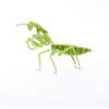 酷巴斯3D纸拼图-昆虫拼拼拼【图案随机发】 商品缩略图1