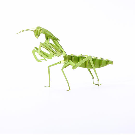 酷巴斯3D纸拼图-昆虫拼拼拼【图案随机发】 商品图1