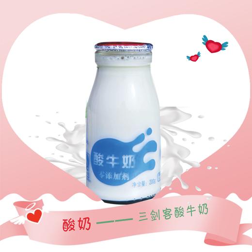 三剑客原味酸奶1个月（30瓶） 商品图0