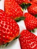 草莓 商品缩略图1