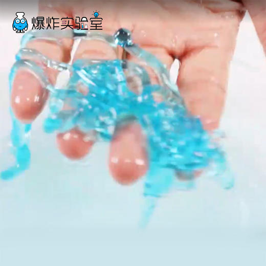 水晶鼻涕虫 商品图0