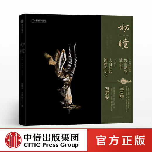 初瞳  我和我的野生动物朋友 初雯雯 王昱珩 中信出版社图书 正版书籍 商品图0