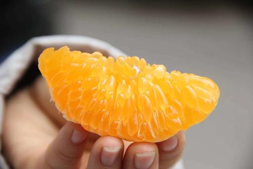 排单发货 不接急单【下单立减10元】蒲江春见耙耙柑高山果      5/8斤装   （酸甜口感  介意慎拍） 商品图9