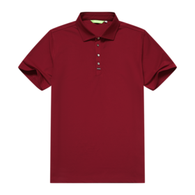 男士短袖POLO衫（19SPS105C)