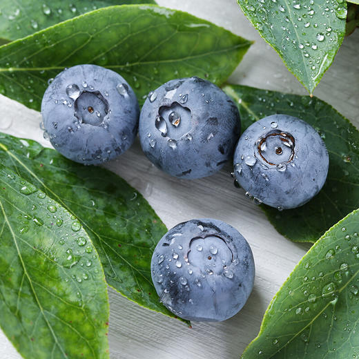 L25高山花香蓝莓（22+） 商品图3