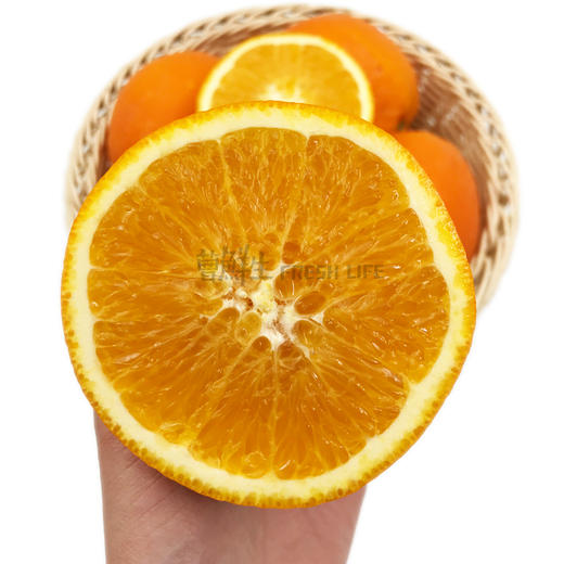 9元/斤起】香妃橙