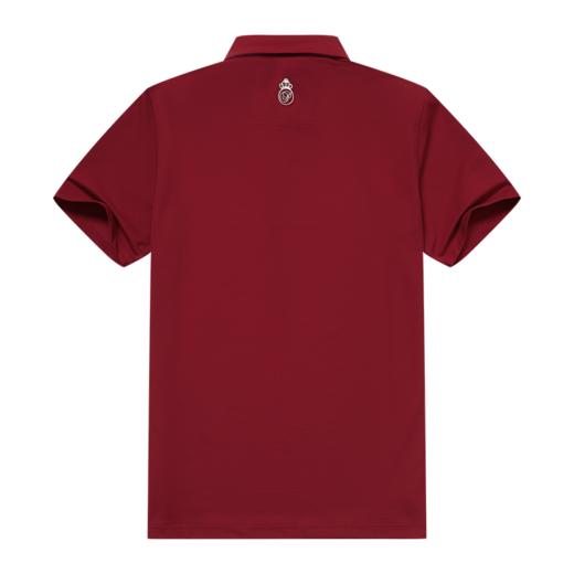 男士短袖POLO衫（19SPS105C) 商品图1