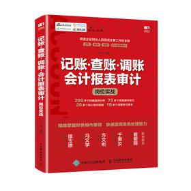 记账 查账 调账 会计报表审计岗位实战 