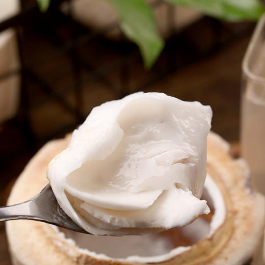 泰雪 泰国老树香水椰青 商品图5